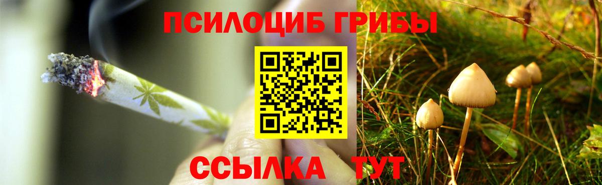 где продают   Псилоцибиновые грибы Psilocybe  Вход с VPN  Учалы 